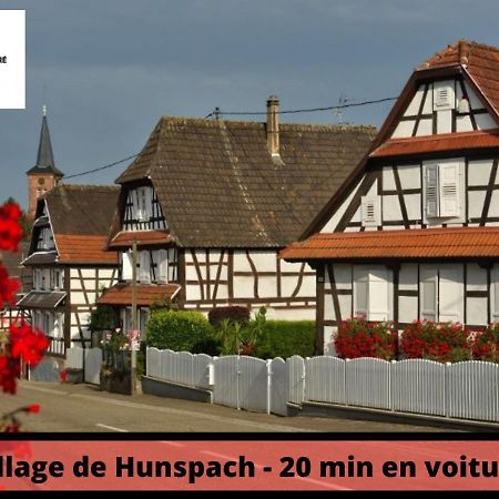 Duplex - Le Cosy - Hyper Centre Lejlighed Haguenau Eksteriør billede