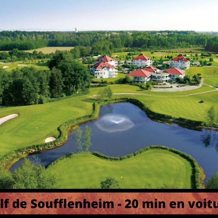 Duplex - Le Cosy - Hyper Centre Lejlighed Haguenau Eksteriør billede