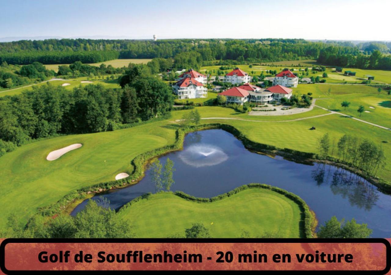 Duplex - Le Cosy - Hyper Centre Lejlighed Haguenau Eksteriør billede