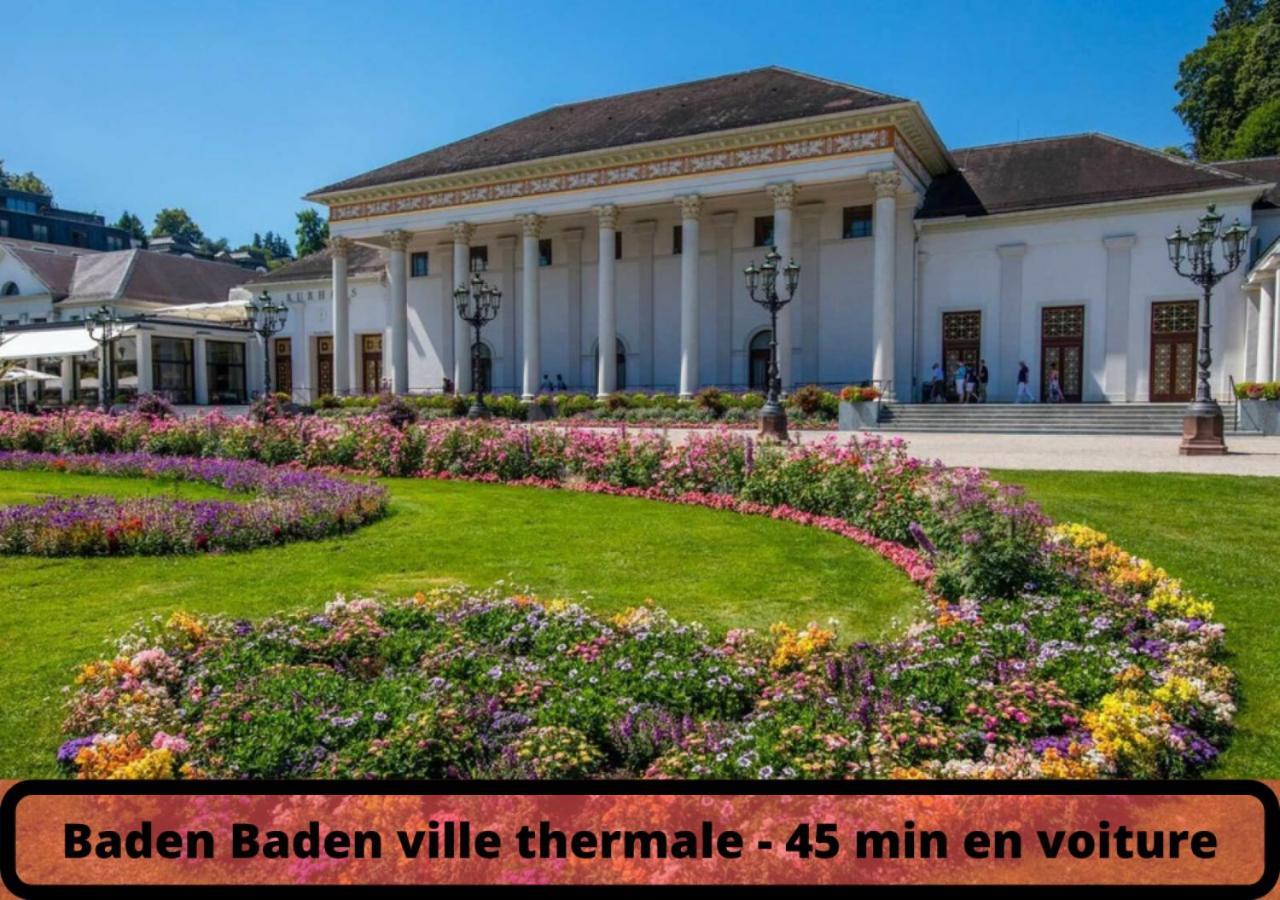Duplex - Le Cosy - Hyper Centre Lejlighed Haguenau Eksteriør billede